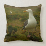 Seagulls on Anacapa Island (Channel Islands) Throw Pillow
