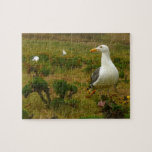 Seagulls on Anacapa Island Jigsaw Puzzle