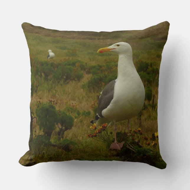 Seagulls on Anacapa Island Throw Pillow (Front)
