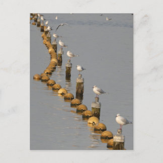 Seagulls on Poles DIY Postcard