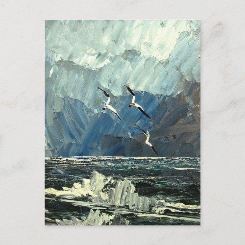 Seagulls on the sea postcard