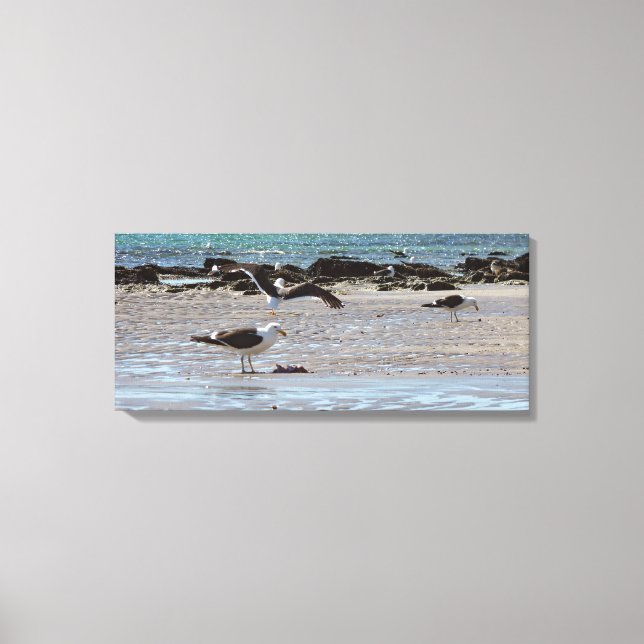 Seagulls on the seashore canvas print (Front)
