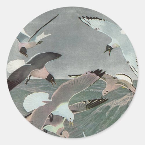 Seagulls Over Ocean Waves by Louis Agassiz Fuertes Classic Round Sticker
