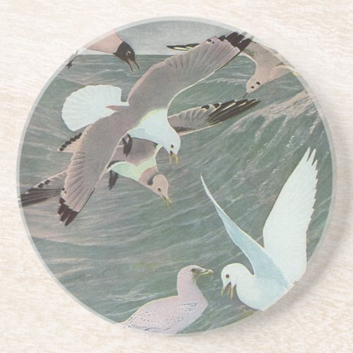Seagulls Over Ocean Waves by Louis Agassiz Fuertes Coaster