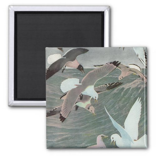 Seagulls Over Ocean Waves by Louis Agassiz Fuertes Magnet