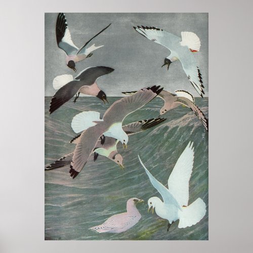 Seagulls Over Ocean Waves by Louis Agassiz Fuertes Poster