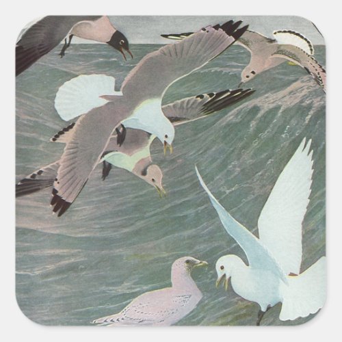 Seagulls Over Ocean Waves by Louis Agassiz Fuertes Square Sticker