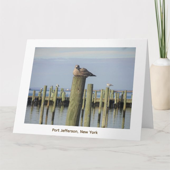 seagulls, Port Jefferson NY Card (Front)