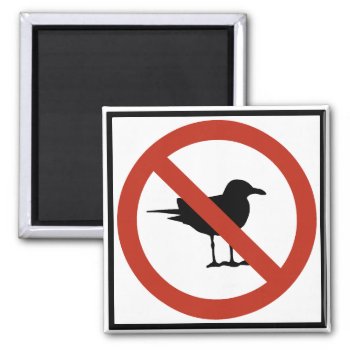 Seagulls Prohibited Magnet by wesleyowns at Zazzle