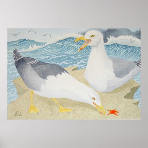 Seagulls resting on a cliff poster