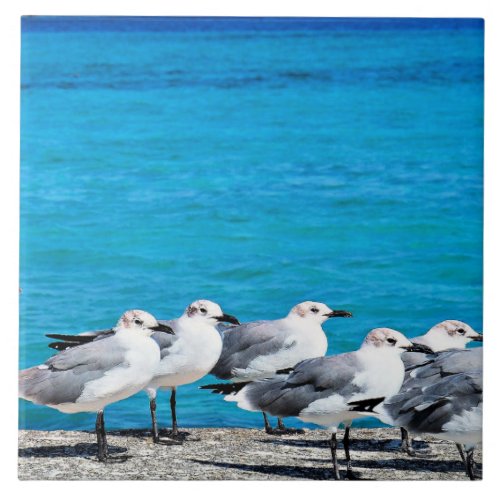 Seagulls sandy beach Nassau Bahamas Ceramic Tile