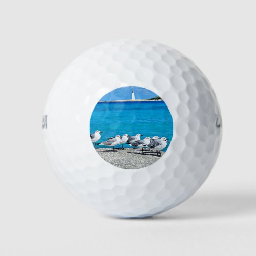 Seagulls sandy beach Nassau Bahamas Golf Balls