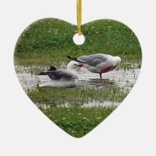 Seagulls Taking a Bath Ceramic Ornament (Front)