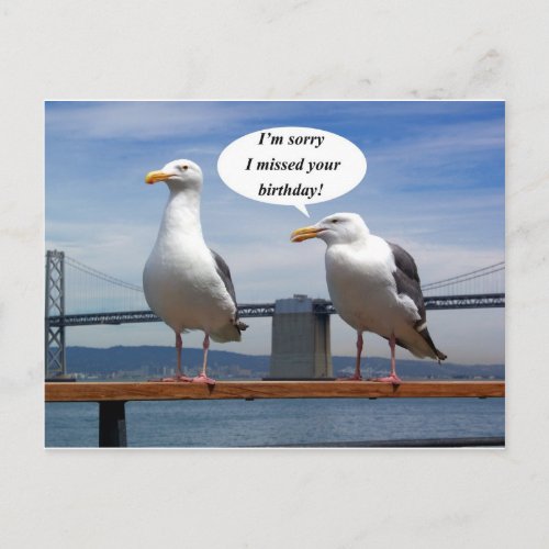 Seagulls talking postcard