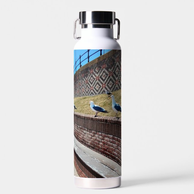 Seagulls Water Bottle (Front)