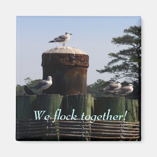 Seagulls - We Flock Together Magnet (Front)