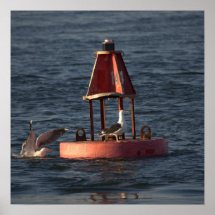 Seagulls with Buoy Poster