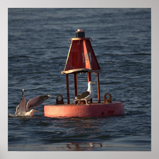Seagulls with Buoy Poster (Front)