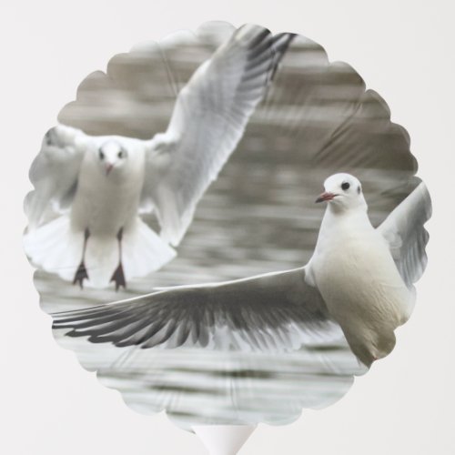 Seaguls in Flight Balloon