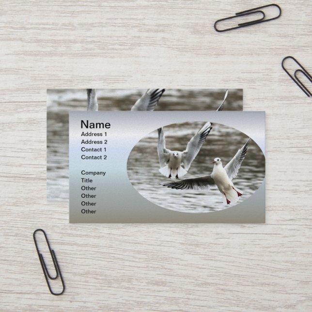 Seaguls in Flight Business Card (Front/Back In Situ)