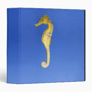 Seahorse 3 Ring Binder