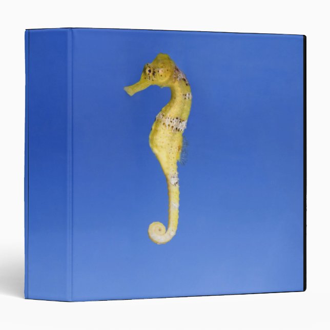 Seahorse 3 Ring Binder (Front/Spine)