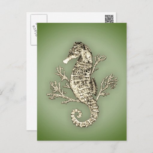 Seahorse and Coral on Green Background Postcard | Zazzle