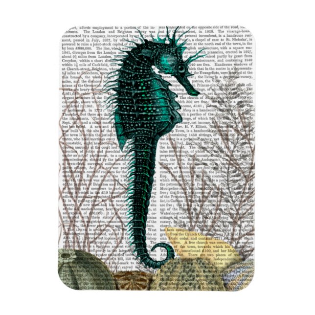 SeaHorse and Sea Urchins Magnet (Vertical)