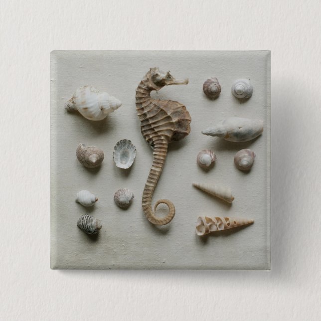 Seahorse And Shells Button (Front)