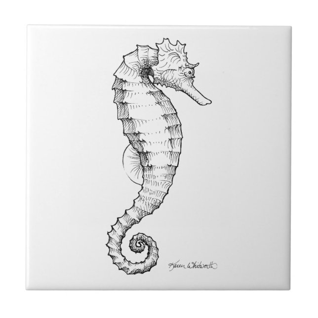 Seahorse Black and White Drawing Tile (Front)