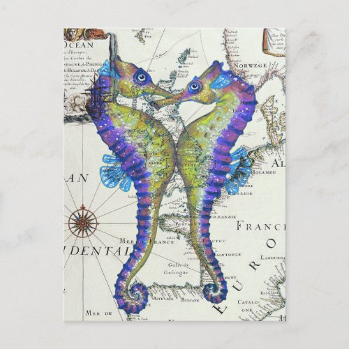 Seahorse Blue Postcard