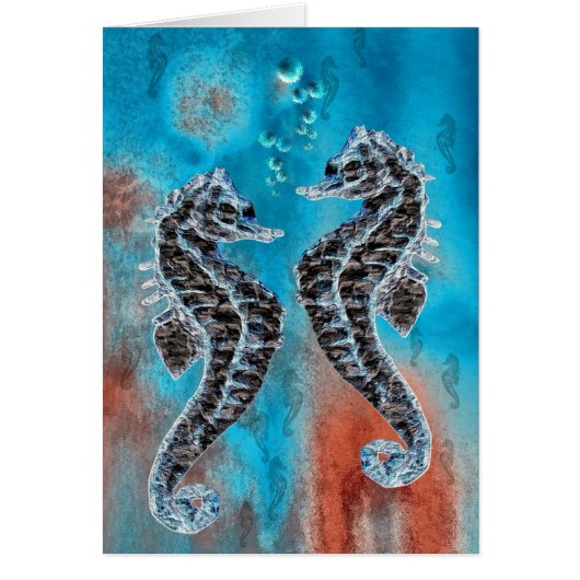 seahorse cards (Front)