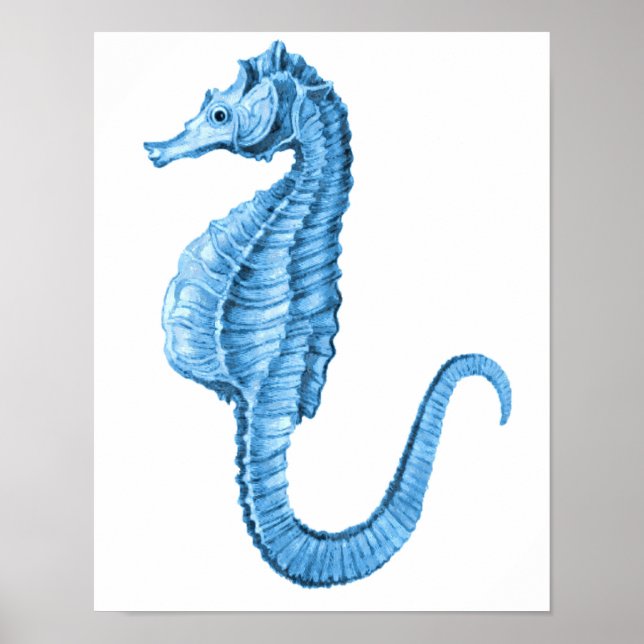 Seahorse coastal nautical beach ocean sea poster (Front)