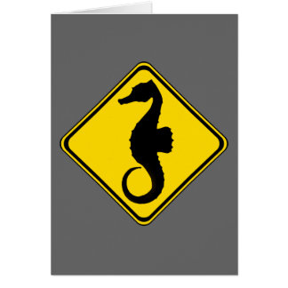 Seahorse Crossing !