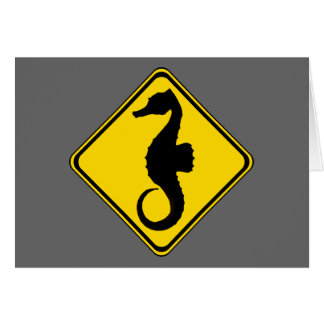 Seahorse Crossing !