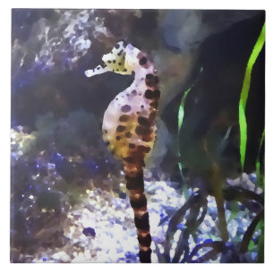 Seahorse in Aquarium Ceramic Tile