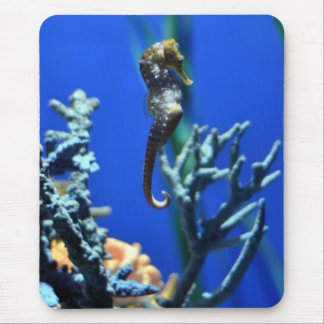 Seahorse Magic Mouse Pad