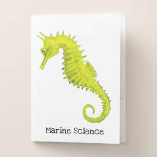 Seahorse Pocket Folder