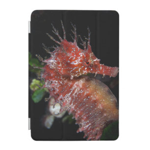 Seahorse Pony Female Begur iPad Mini Cover