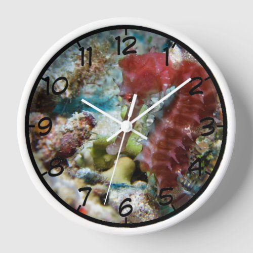 Seahorse Round Wall Clock
