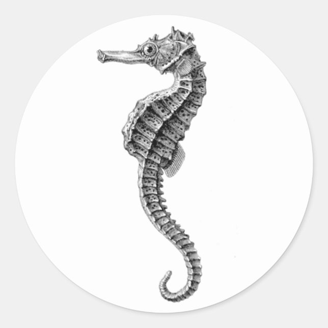 "SEAHORSE" SEALIFE ENVELOPE SEAL STICKER (Front)
