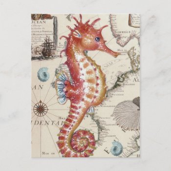 Seahorse Shabby Postcard by EveyArtStore at Zazzle