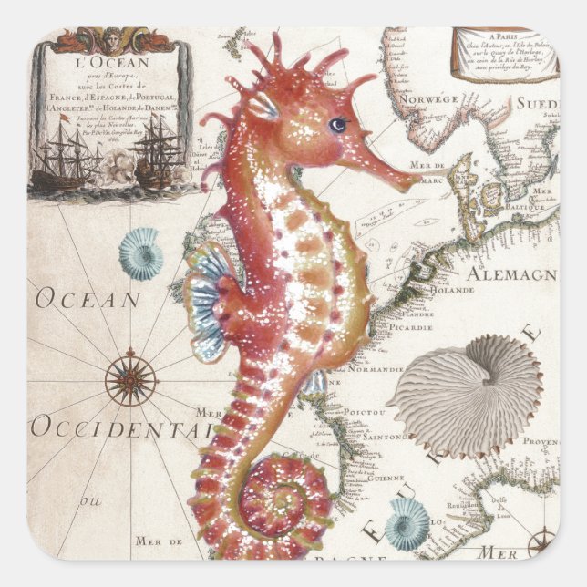 Seahorse Shabby Square Sticker (Front)