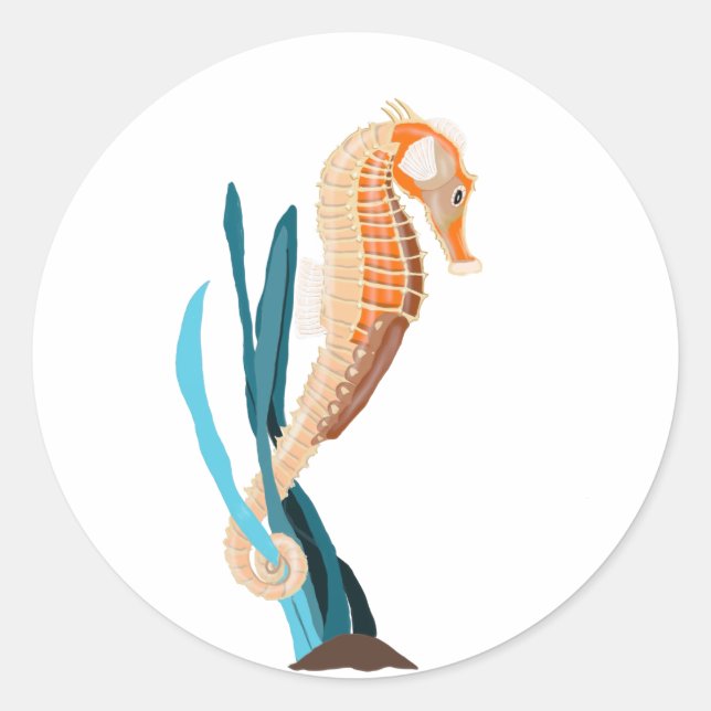 Seahorse tethered on Seaweed Classic Round Sticker (Front)