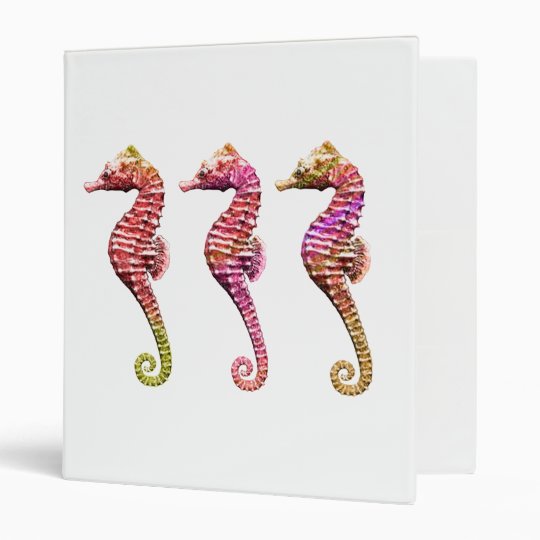 Seahorse Trio in Reds Binder