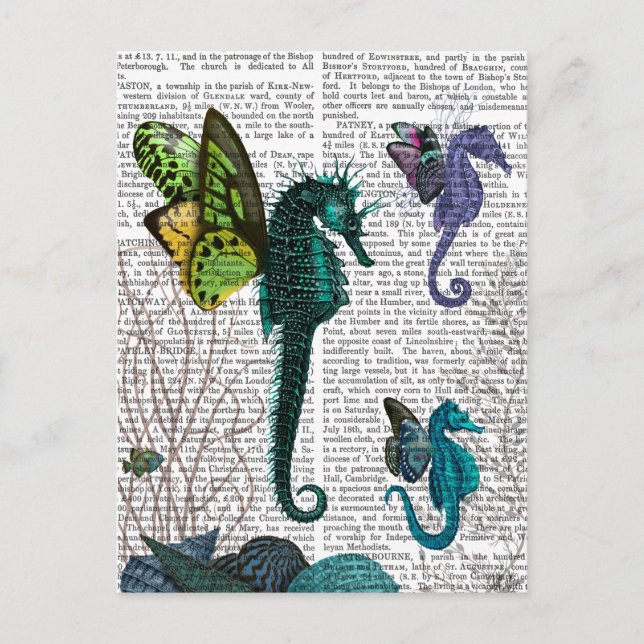 Seahorse Trio With Wings Postcard (Front)