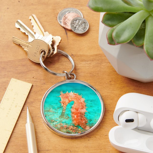 Seahorse tropical carribean turquoise orange  keychain (Creator Uploaded)