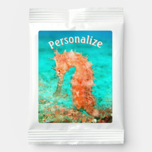 Seahorse tropical carribean turquoise orange  margarita drink mix