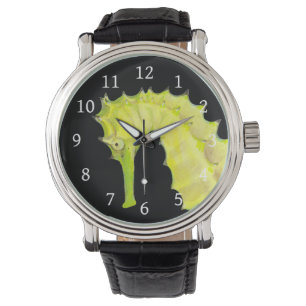 Seahorse Watch