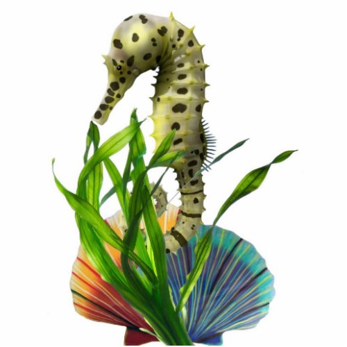 Seahorse with Seaweed Ornament